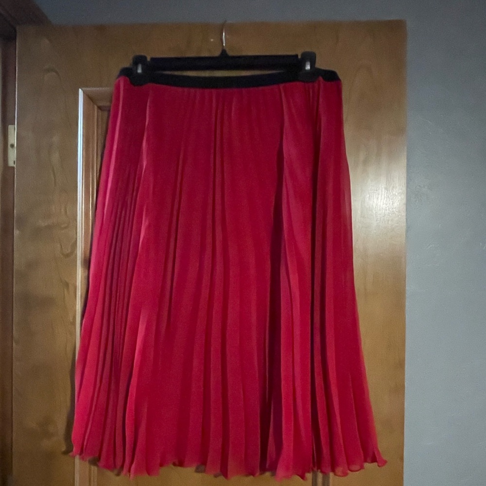 Worthington Pleated Sheer Skirt